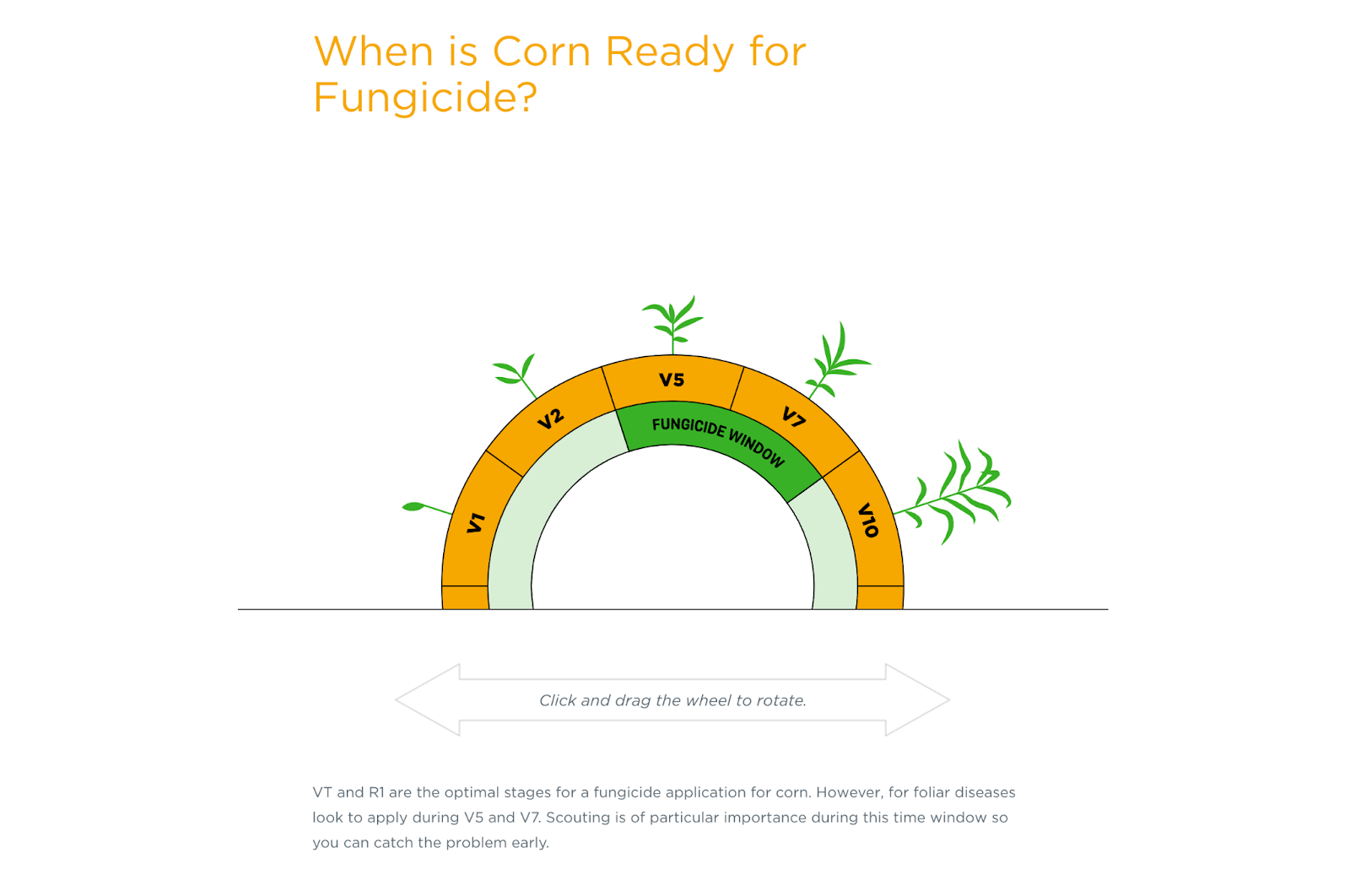 An interactive wheel shown in ‘Find Your Fungicide Window’ article