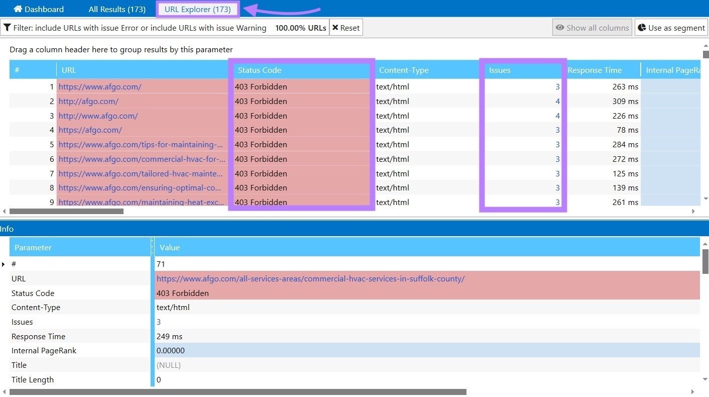 URL Explorer on Netpeak Spider with the status code and issues columns highlighted.