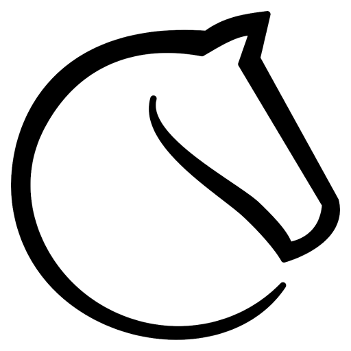 scacchi-online.eu favicon